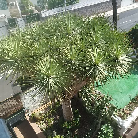 Casa Quico 2 Guest house *
